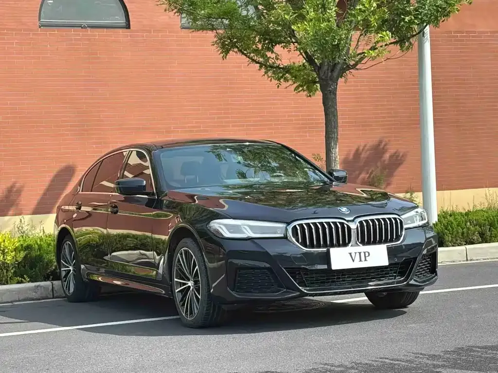 BMW 5 Series 2023 из CN, фото 5