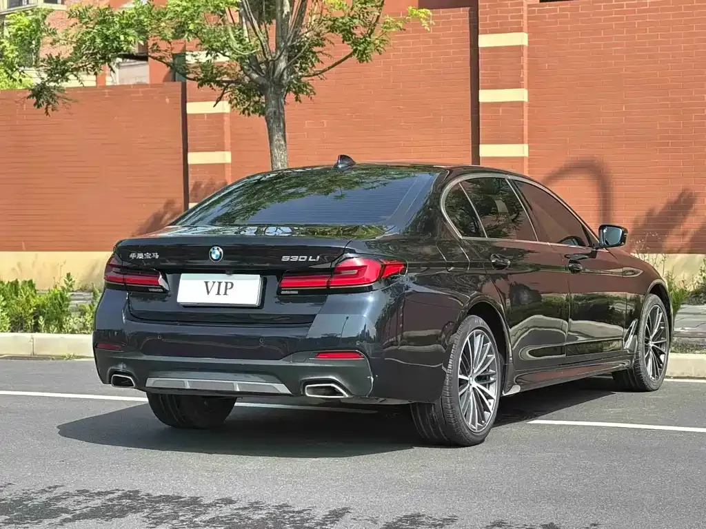 BMW 5 Series 2023 из CN, фото 8