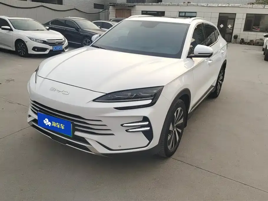 BYD PLUS New Energy — фото 1