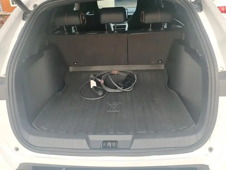 BYD PLUS New Energy — фото 10