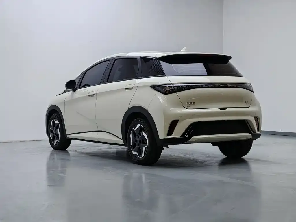 BYD Dolphin 2025 из CN, фото 6