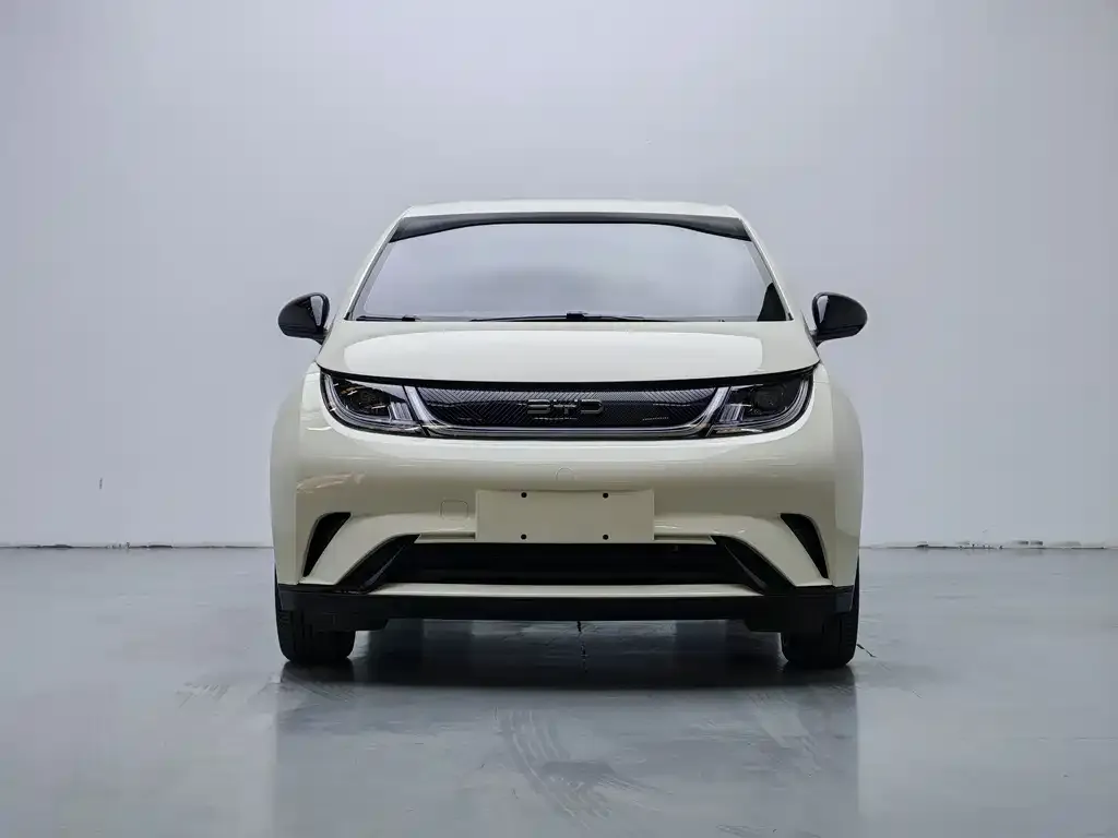 BYD Dolphin 2025 из CN, фото 4