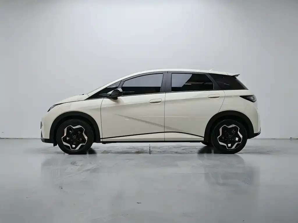BYD Dolphin 2025 из CN, фото 3
