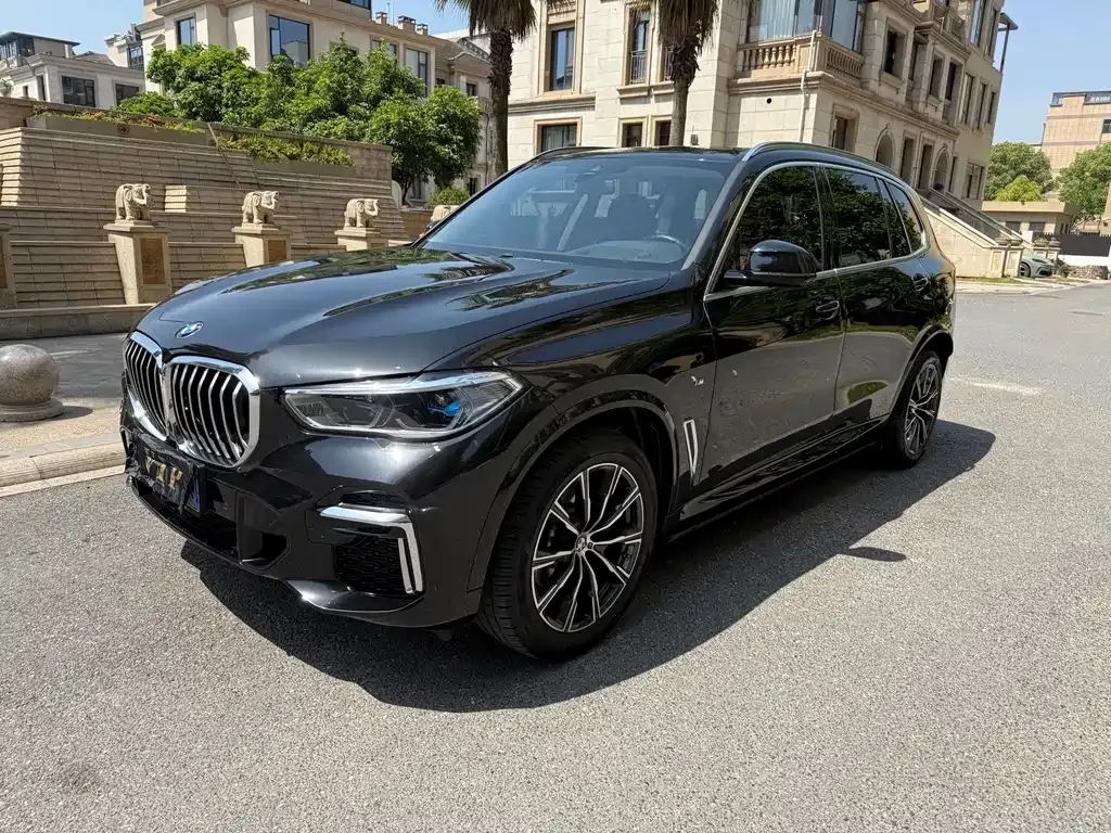 BMW X5 2023 из CN, фото 1