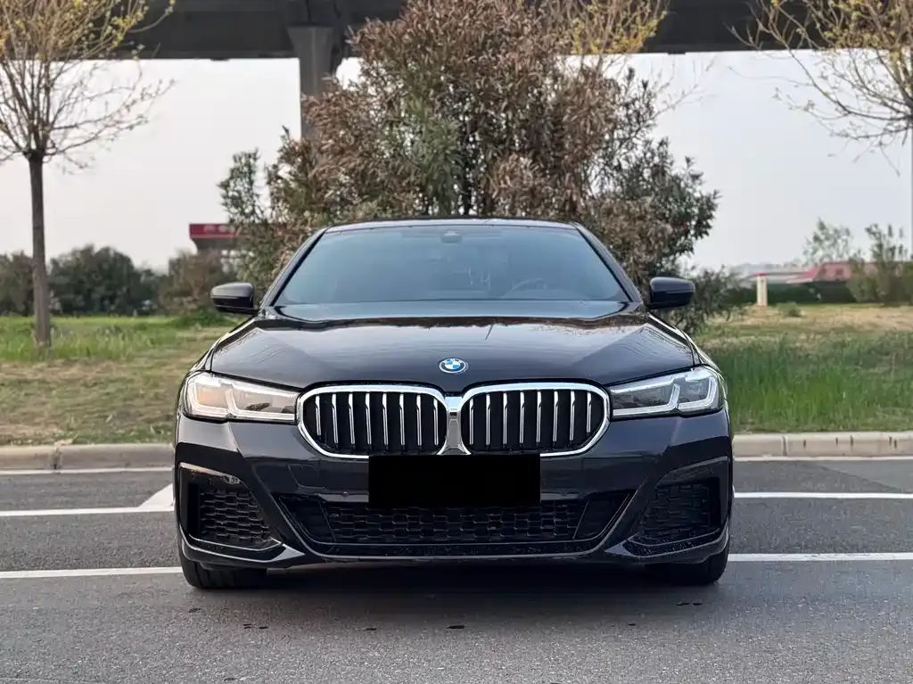 BMW 5 Series New Energy — фото 1