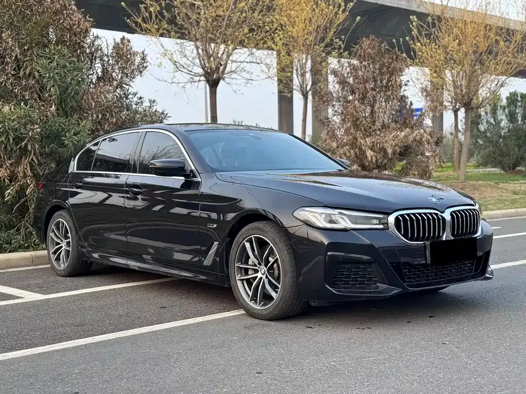 BMW 5 Series New Energy — фото 9