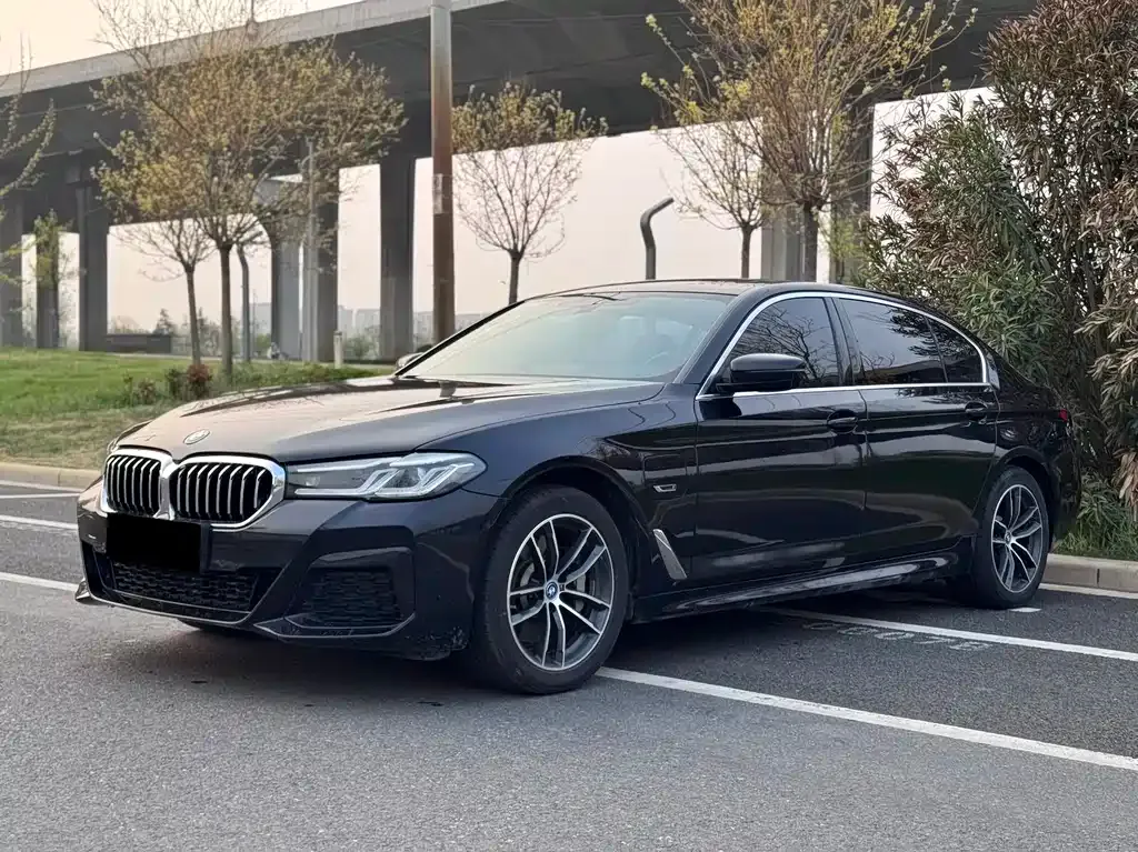 BMW 5 Series New Energy — фото 2