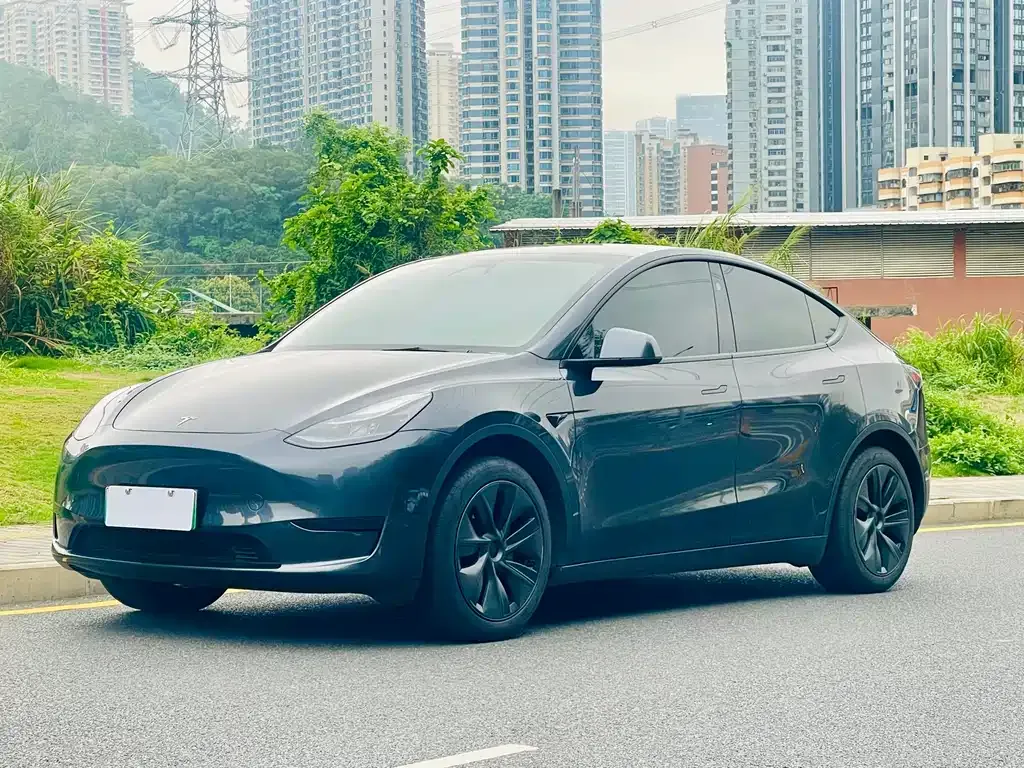 Tesla Model Y — фото 1