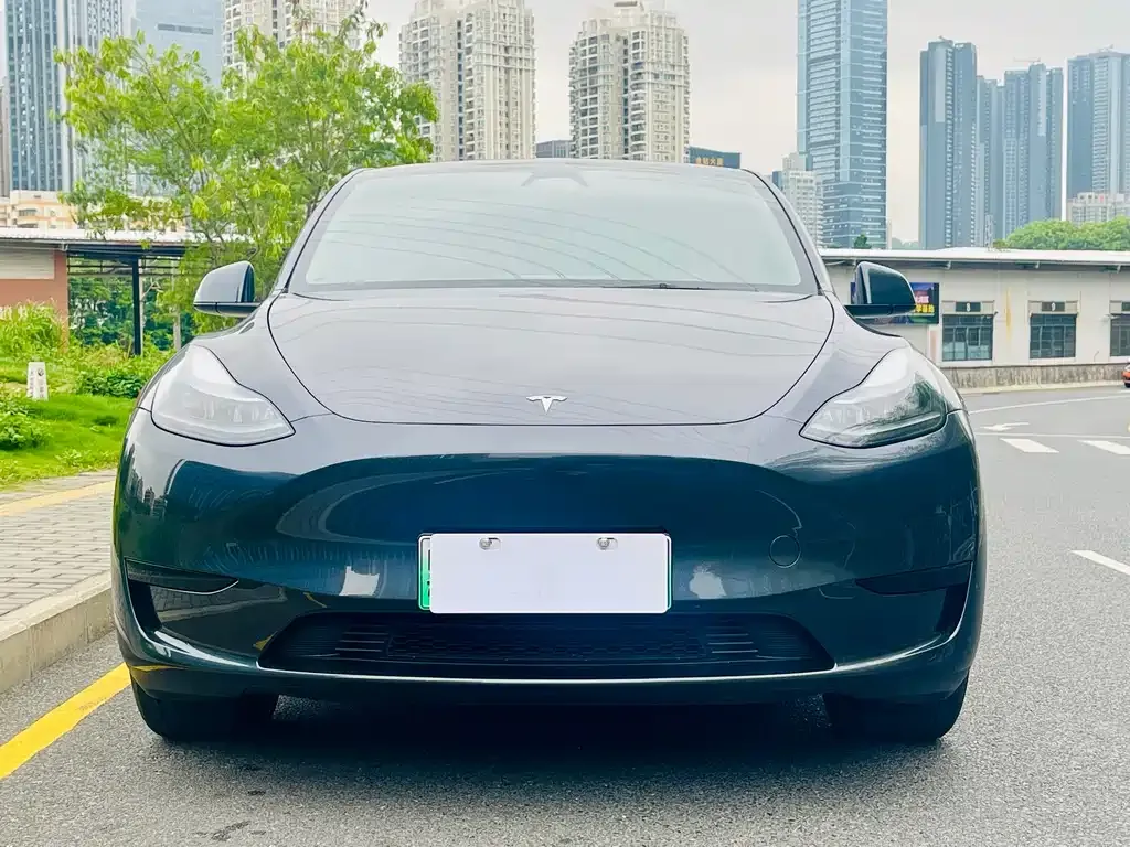 Tesla Model Y — фото 9