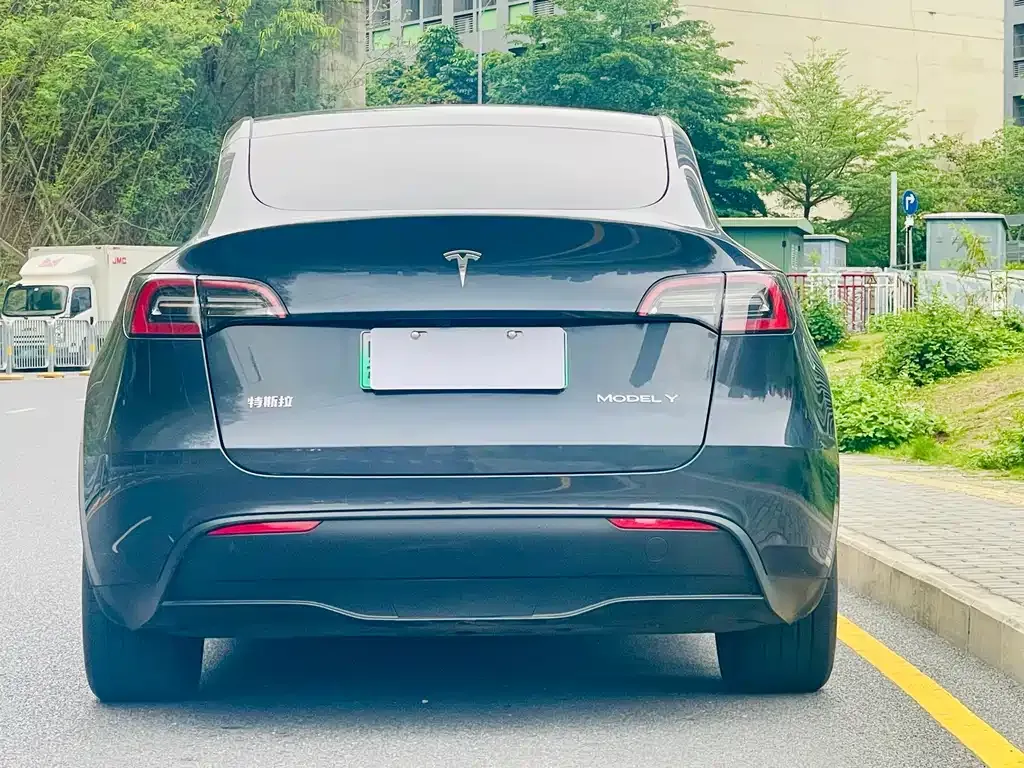 Tesla Model Y — фото 10
