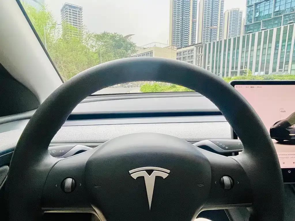 Tesla Model Y — фото 6