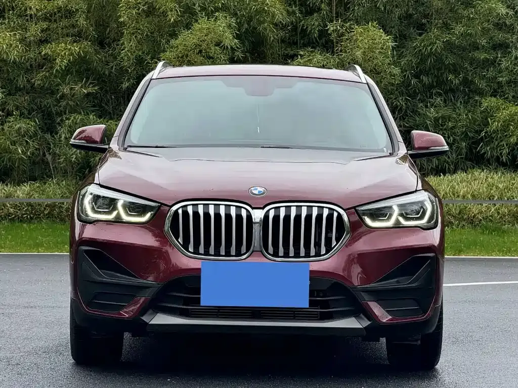 BMW X1 2021 из CN, фото 4
