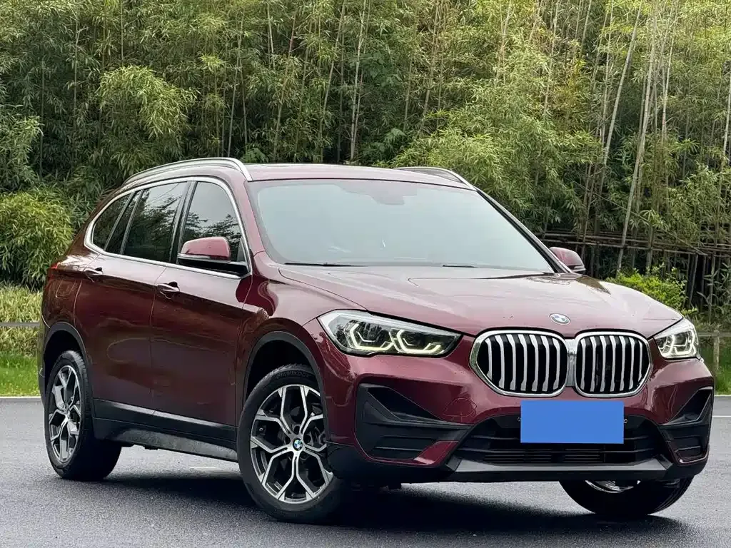 BMW X1 2021 из CN, фото 3