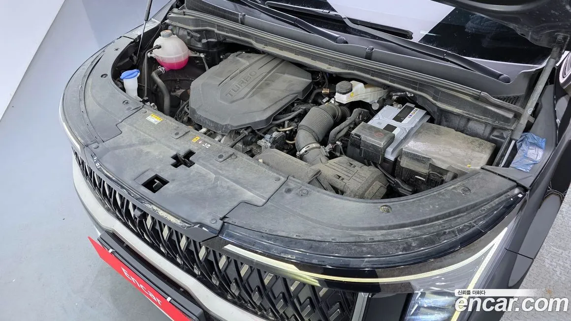 Kia Carnival — фото 10