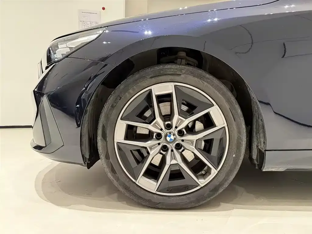 BMW 5 Series 2024 из CN, фото 8