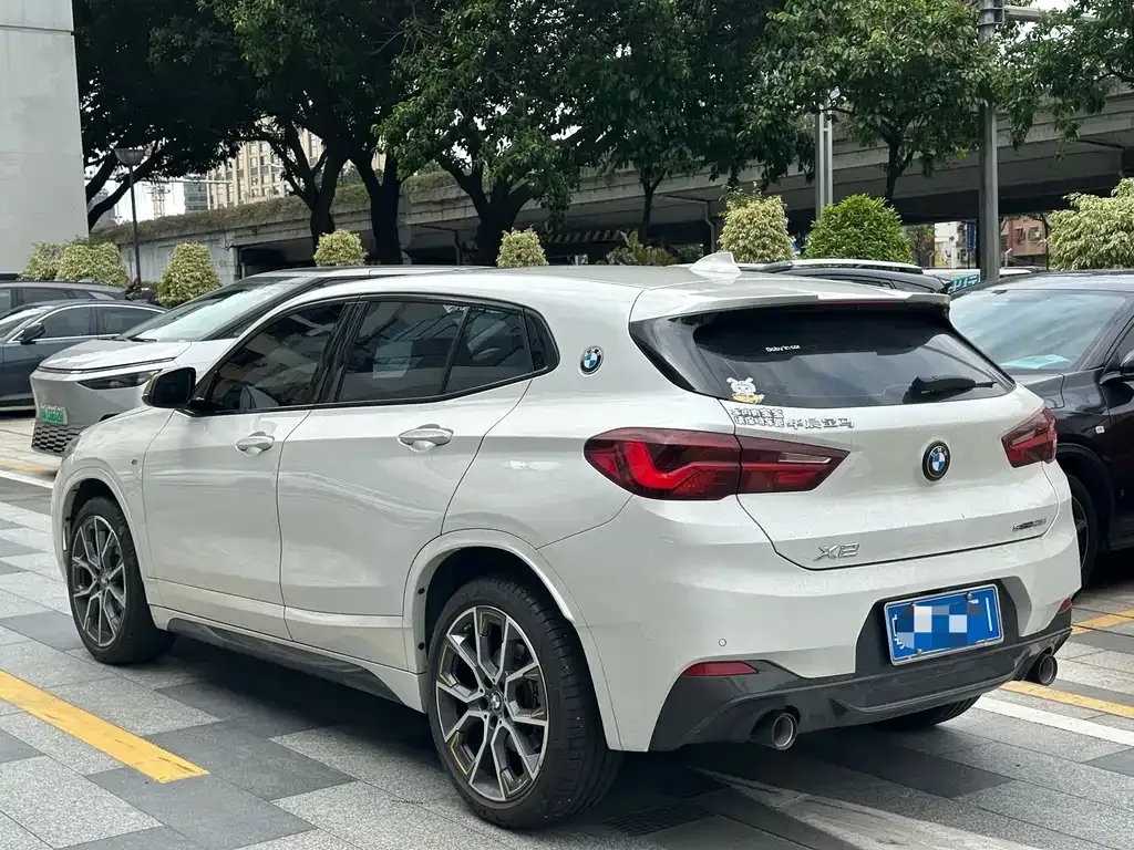BMW X2 2023 из CN, фото 8