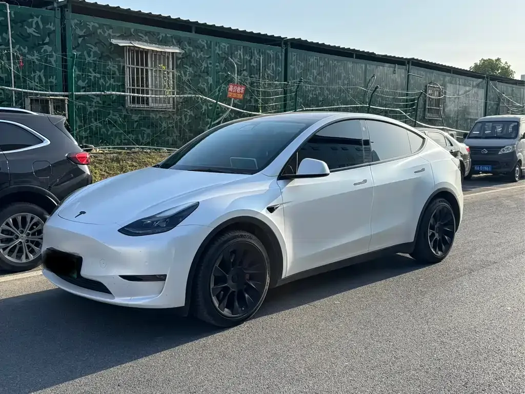 Tesla Model Y 2021 из CN, фото 1