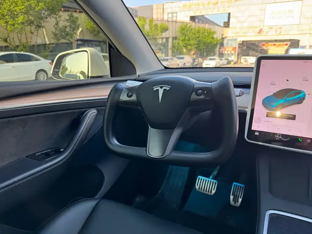 Tesla Model Y 2021 из CN, фото 4