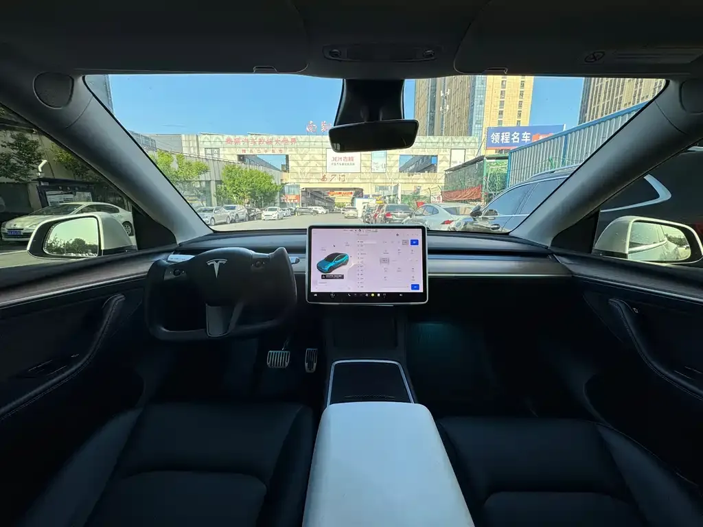 Tesla Model Y 2021 из CN, фото 6