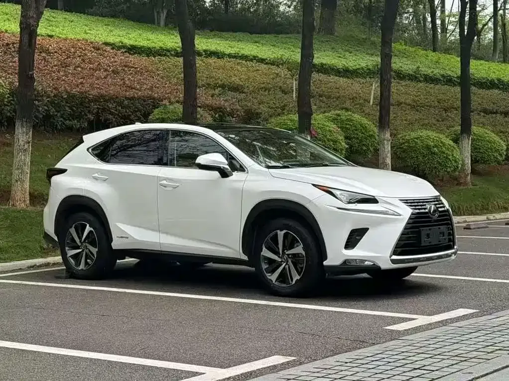 Lexus NX 2021 из CN, фото 1