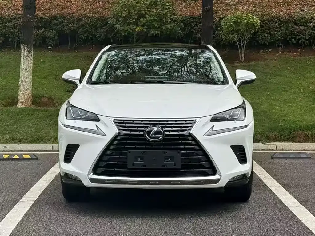 Lexus NX 2021 из CN, фото 5