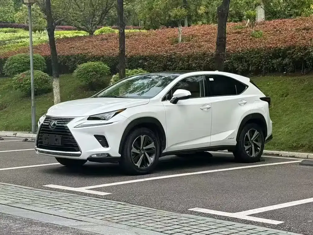 Lexus NX 2021 из CN, фото 8