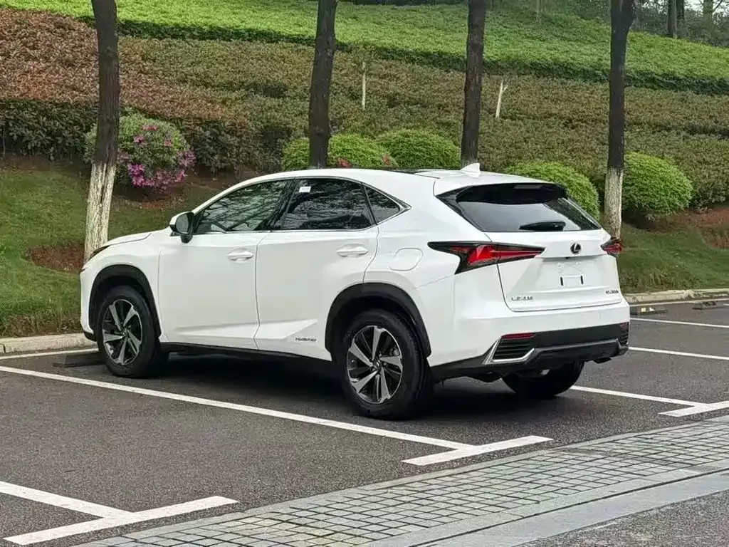 Lexus NX 2021 из CN, фото 9
