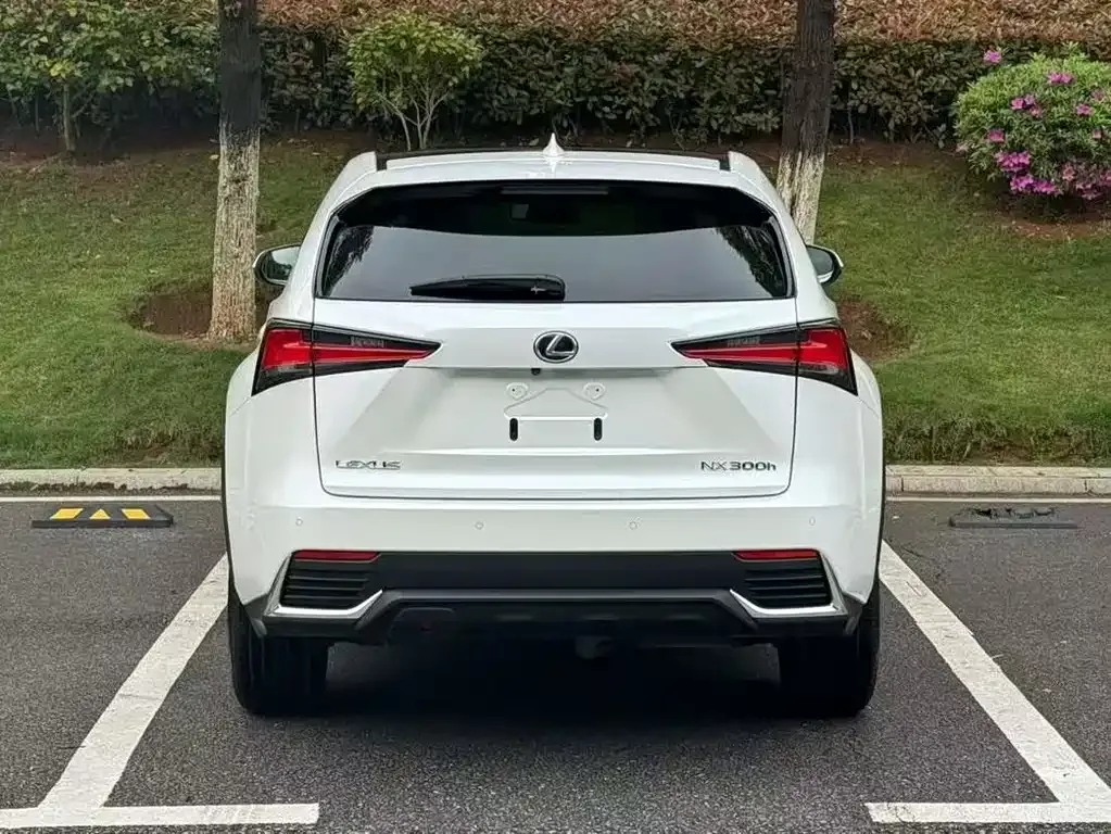 Lexus NX 2021 из CN, фото 7