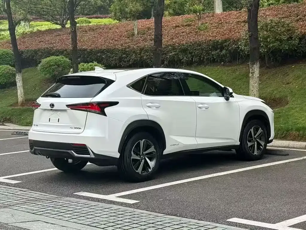Lexus NX 2021 из CN, фото 6