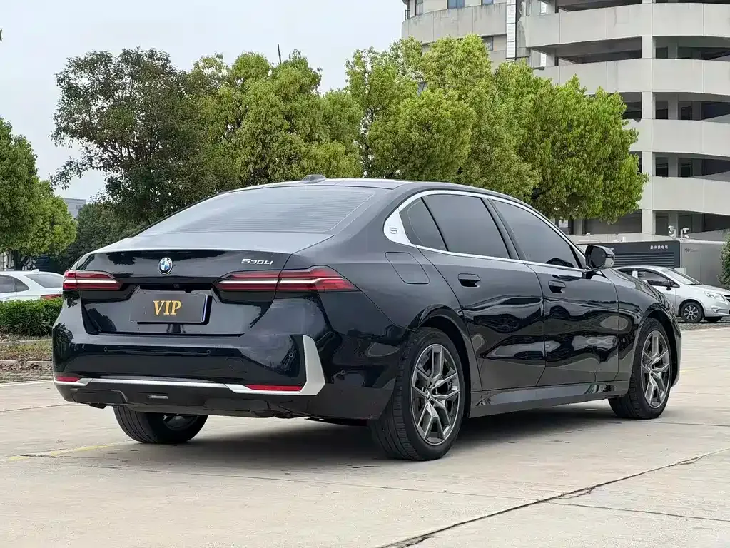 BMW 5 Series 2024 из CN, фото 6