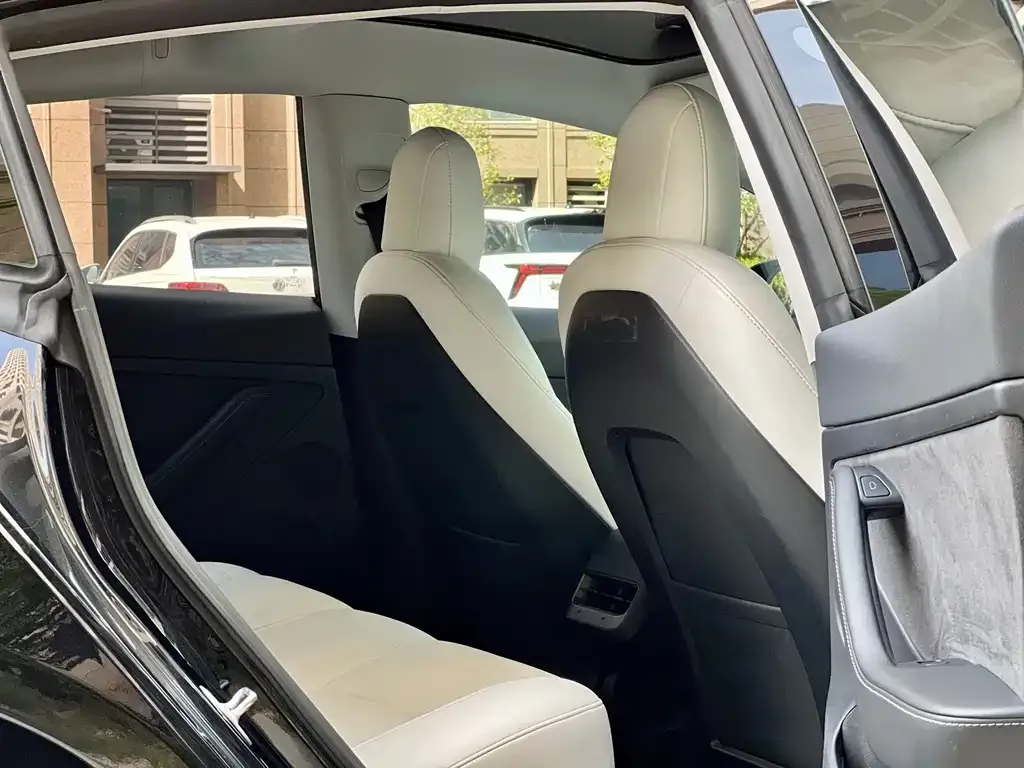 Tesla Model 3 2023 из CN, фото 3