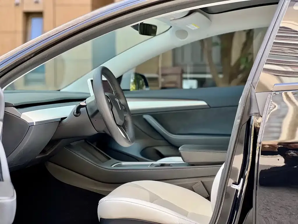Tesla Model 3 2023 из CN, фото 2