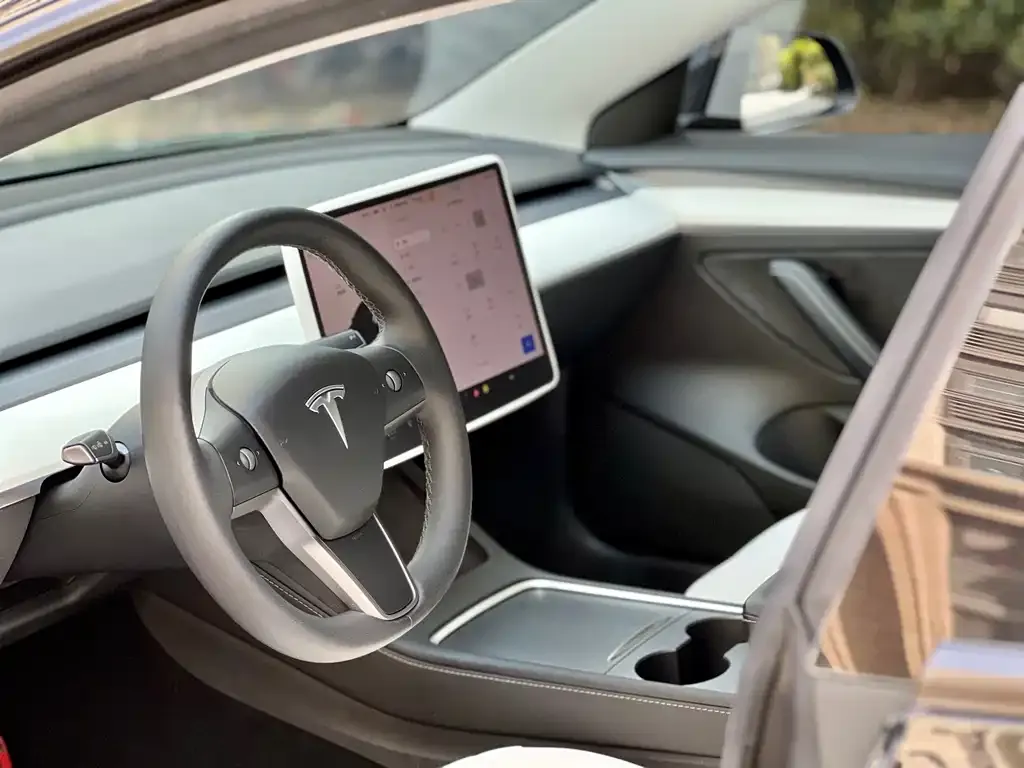 Tesla Model 3 2023 из CN, фото 4