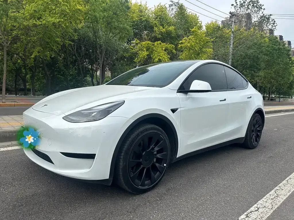 Tesla Model Y 2024 из CN, фото 1