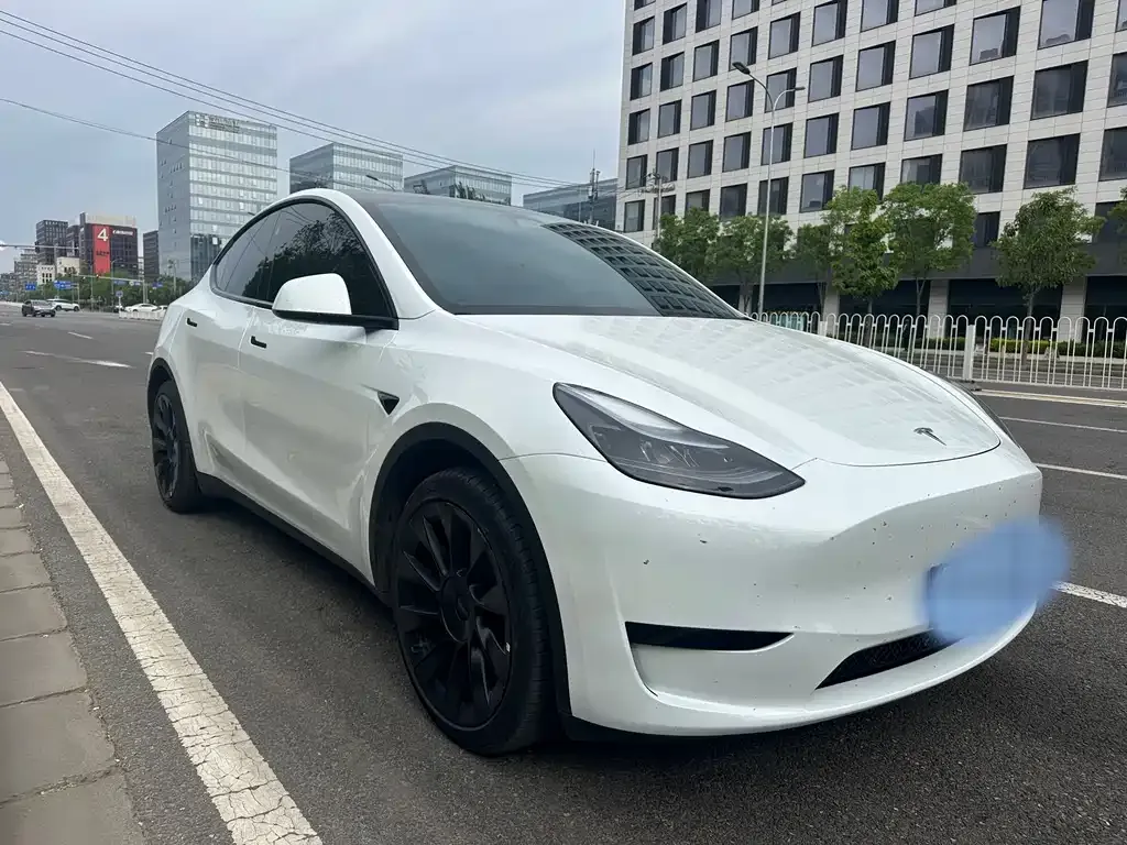 Tesla Model Y 2024 из CN, фото 8