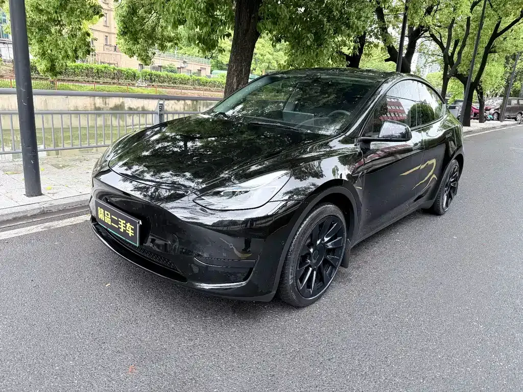Tesla Model Y 2022 из CN, фото 1