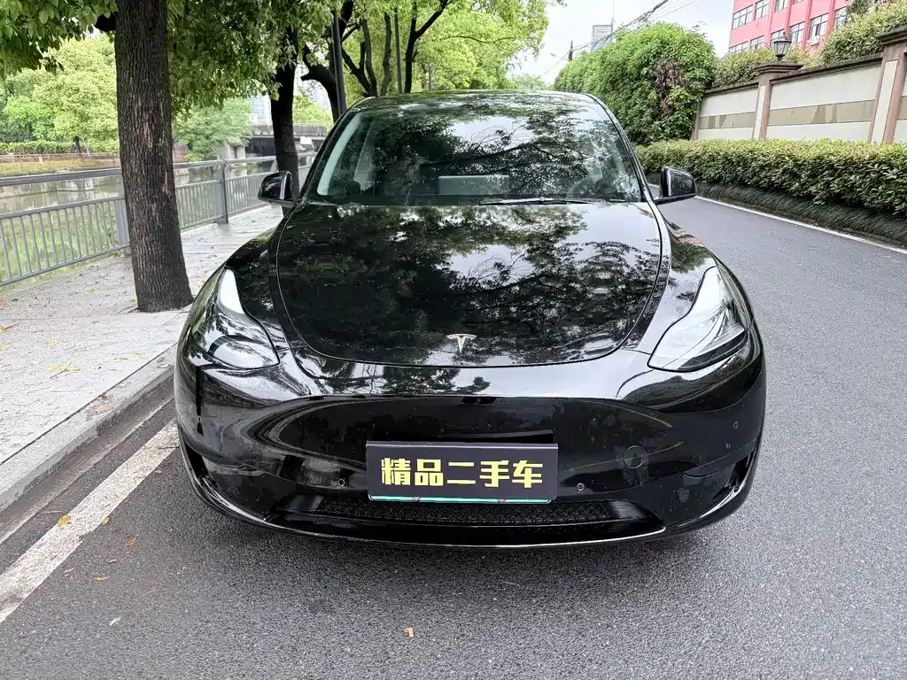 Tesla Model Y 2022 из CN, фото 9