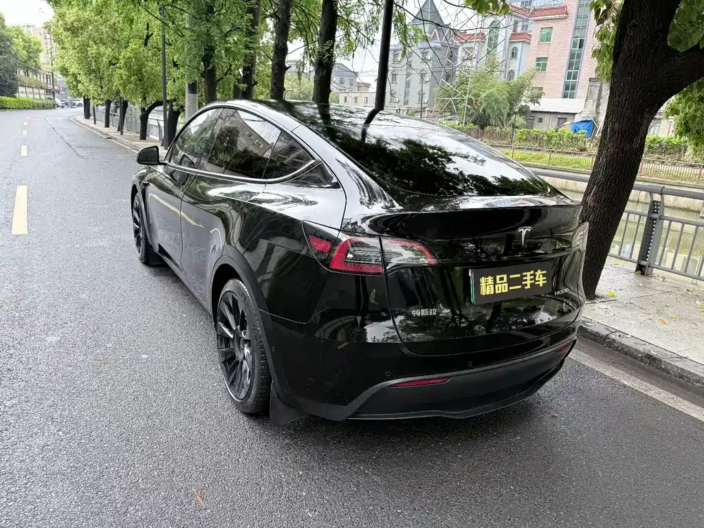 Tesla Model Y 2022 из CN, фото 2