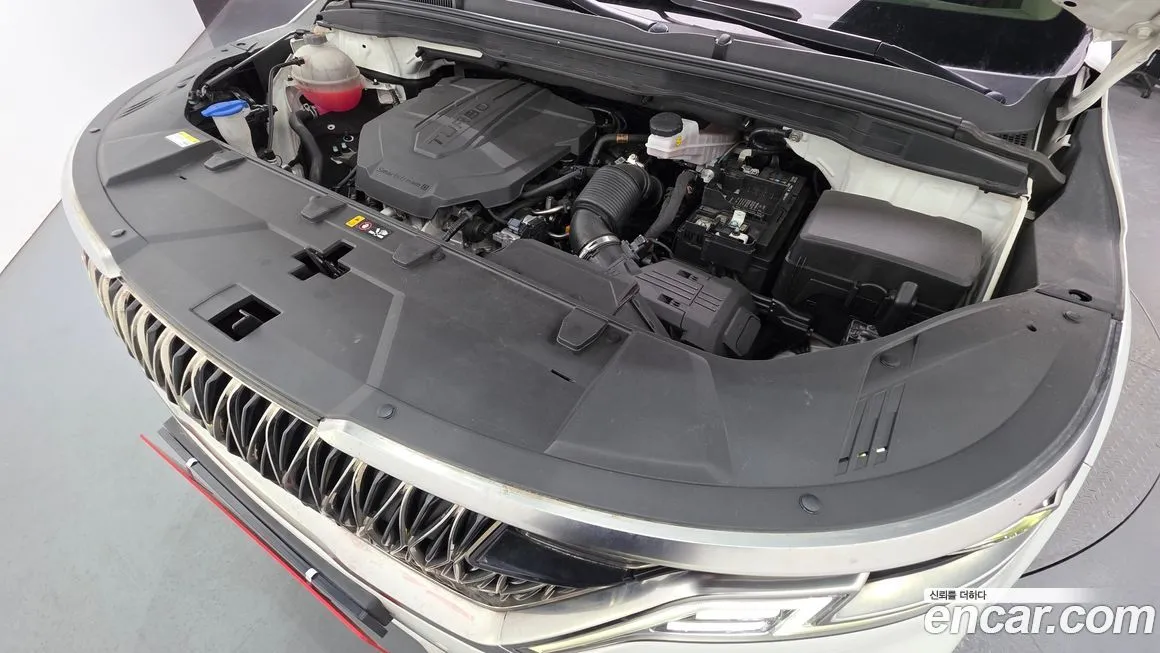 Kia Carnival — фото 10