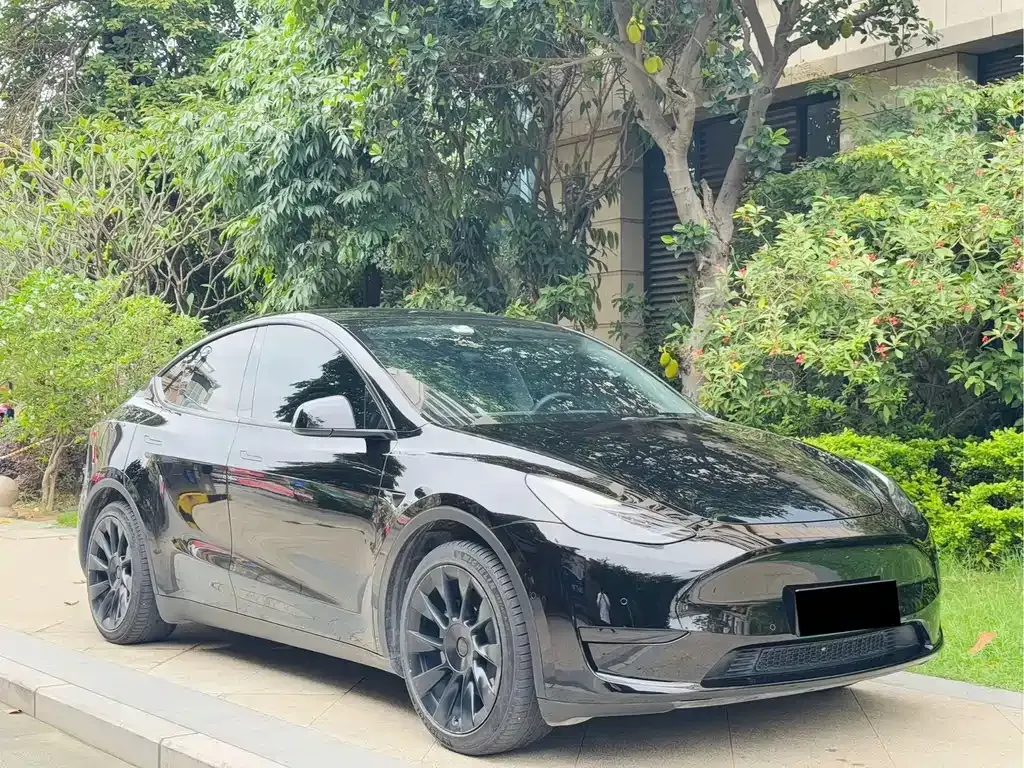 Tesla Model Y 2023 из CN, фото 10
