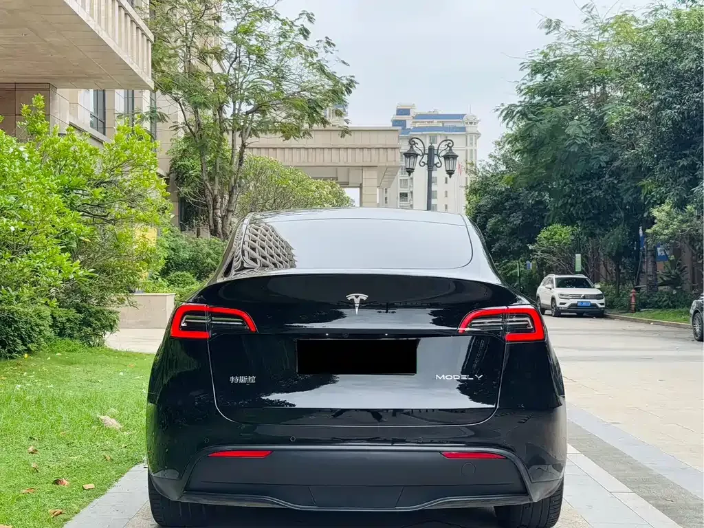 Tesla Model Y 2023 из CN, фото 6