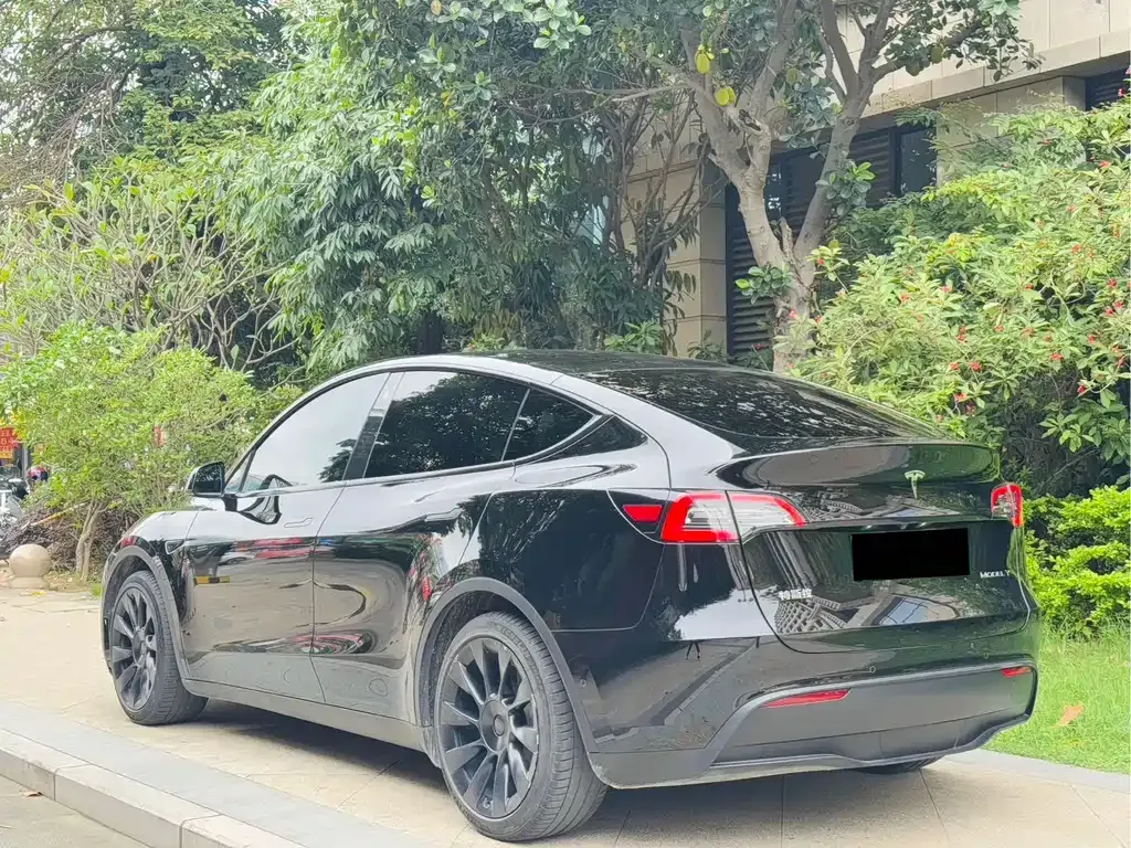 Tesla Model Y 2023 из CN, фото 4