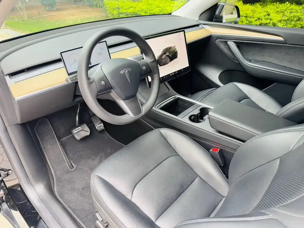 Tesla Model Y 2023 из CN, фото 2