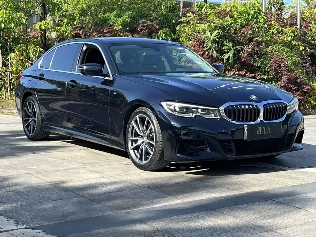 BMW 3 Series 2022 из CN, фото 6