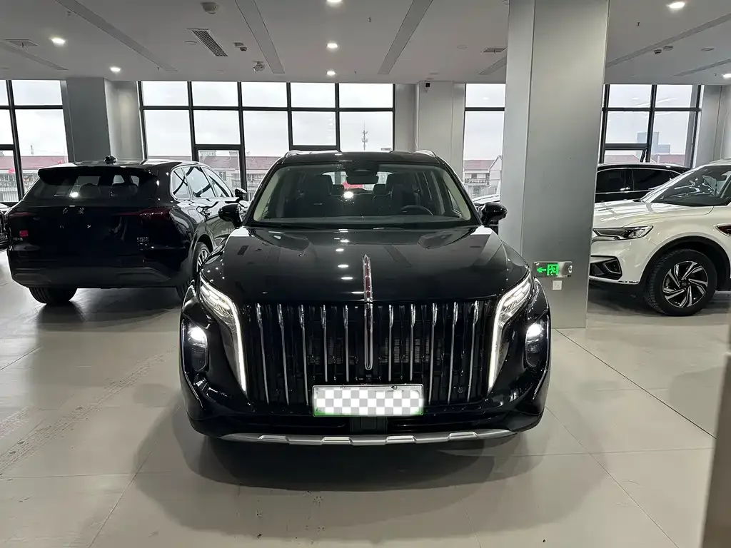 Hongqi HS7 PHEV 2025 из CN, фото 7