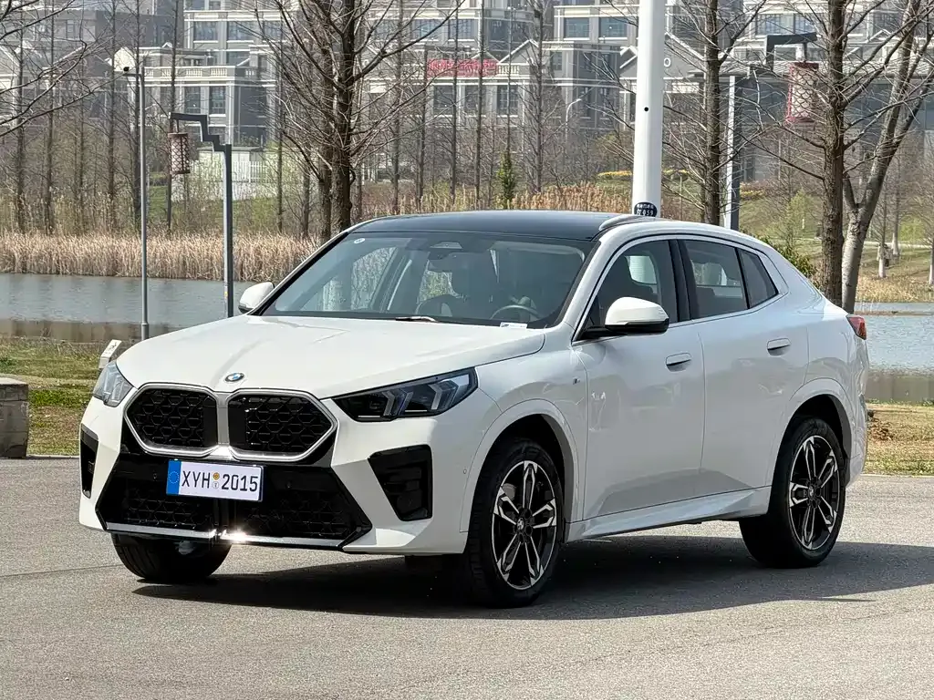 BMW X2 (Import) — фото 1