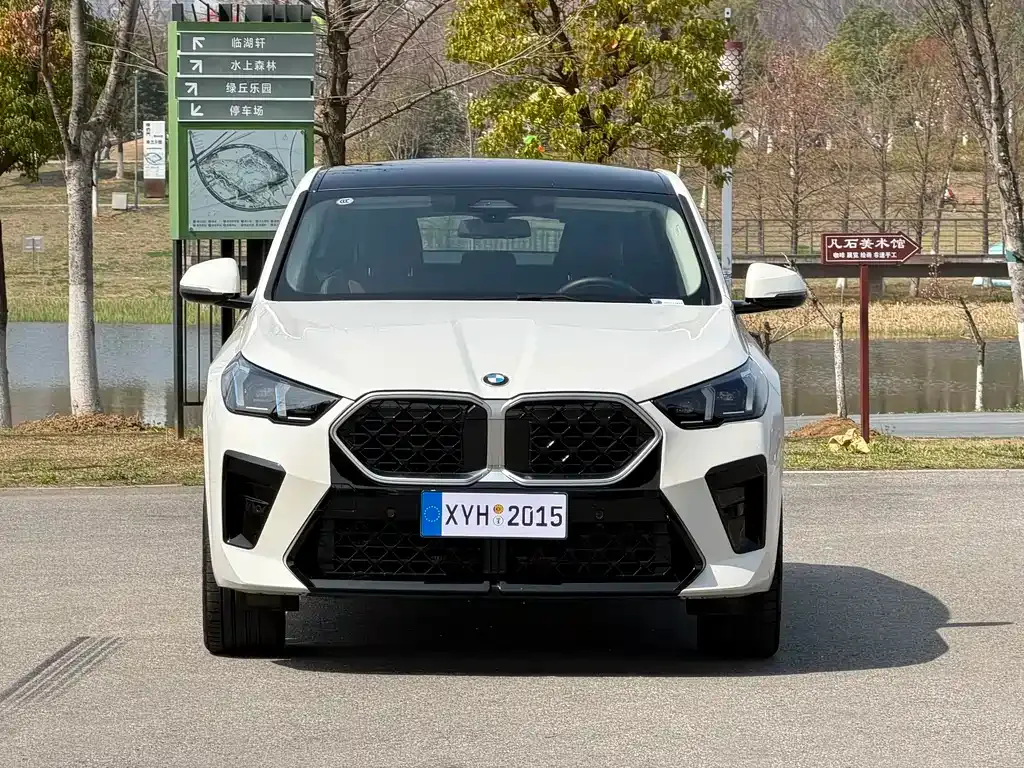 BMW X2 (Import) — фото 8