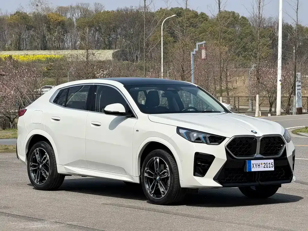 BMW X2 (Import) — фото 9