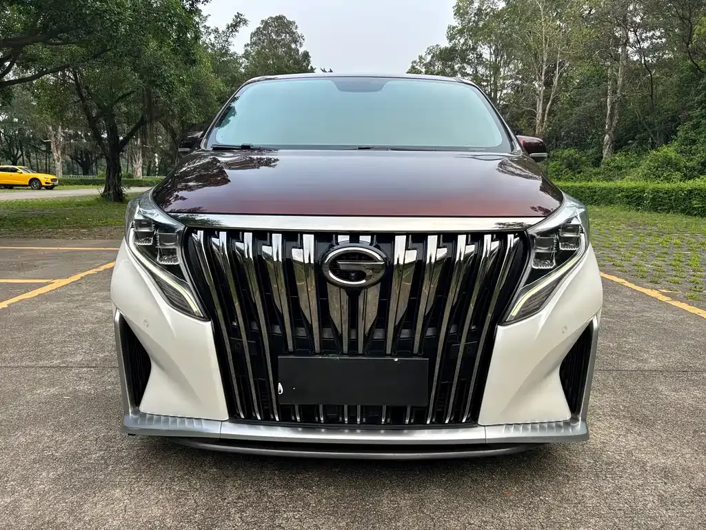 GAC Motor Trumpchi M8 2021 из CN, фото 5