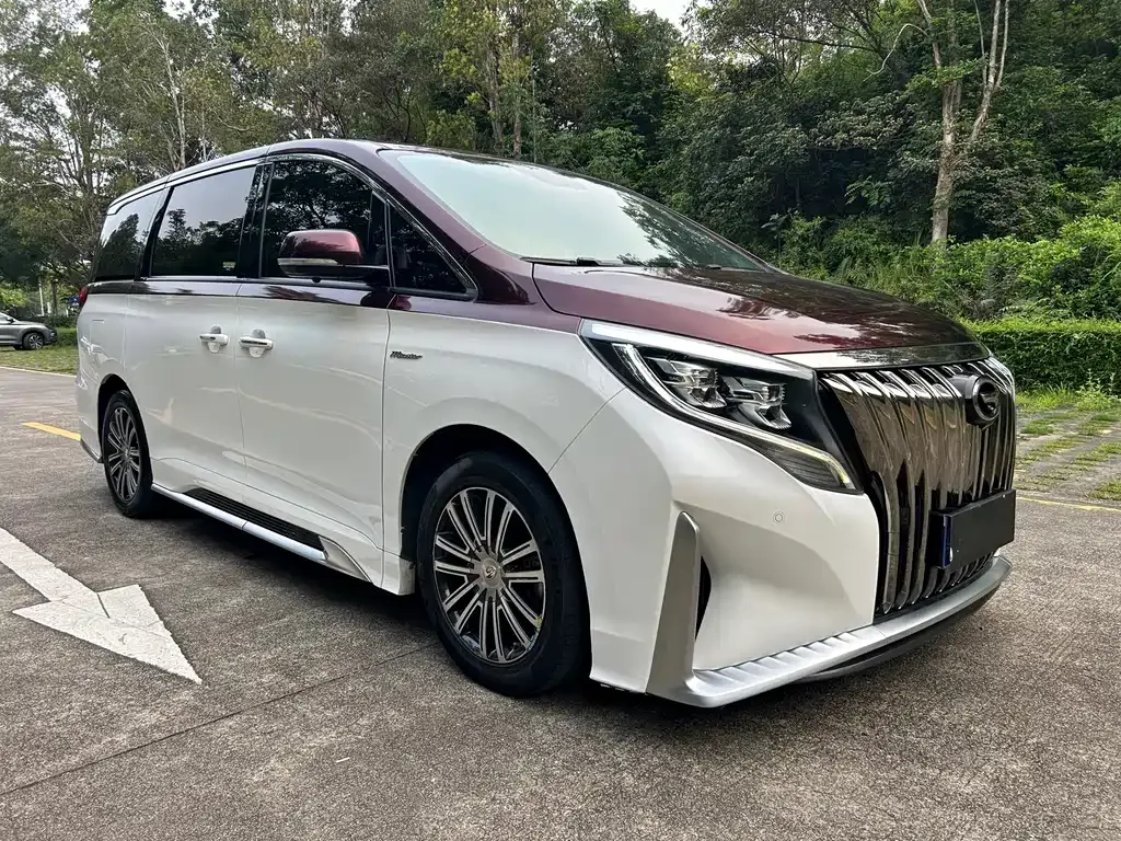 GAC Motor Trumpchi M8 2021 из CN, фото 9
